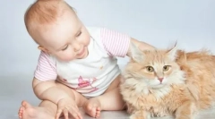 Немовлята та домашні тварини: друзі або вороги